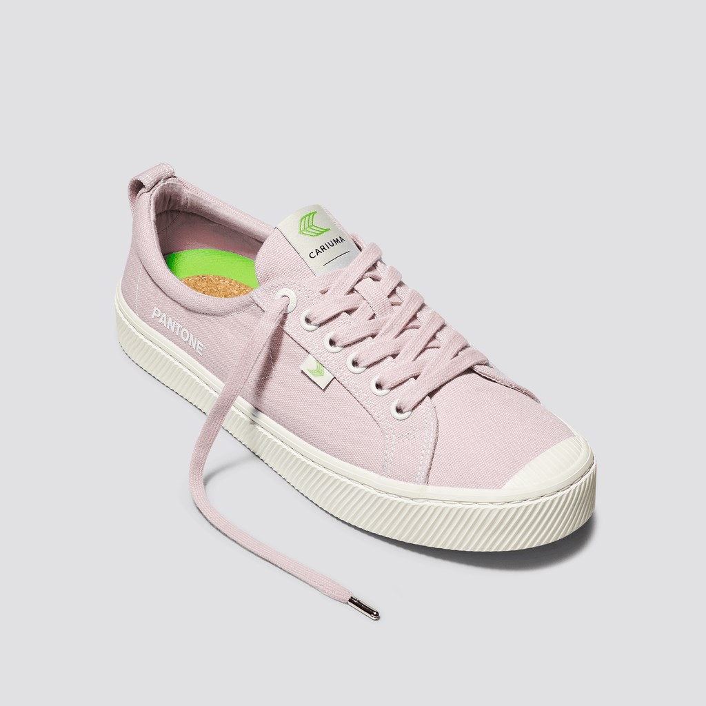 OCA LOW Cariuma Low Top Tela Pale Lilac Homme | UPC-9583409